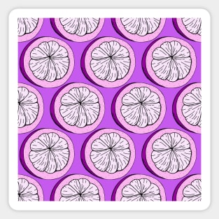 Mangosteen fruits on the violet background Sticker